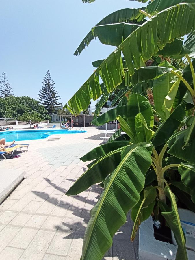 Summer Dream Aparthotel Θεολόγος Εξωτερικό φωτογραφία